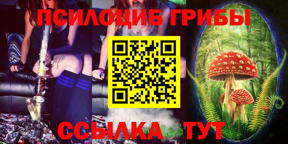 Галлюциногенные грибы прущие грибы Знаменск