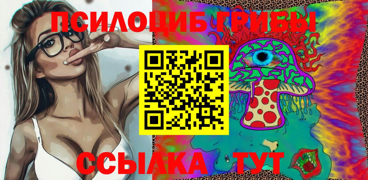 где купить наркоту  Псилоцибиновые грибы ЛСД  Вход с VPN  Знаменск 